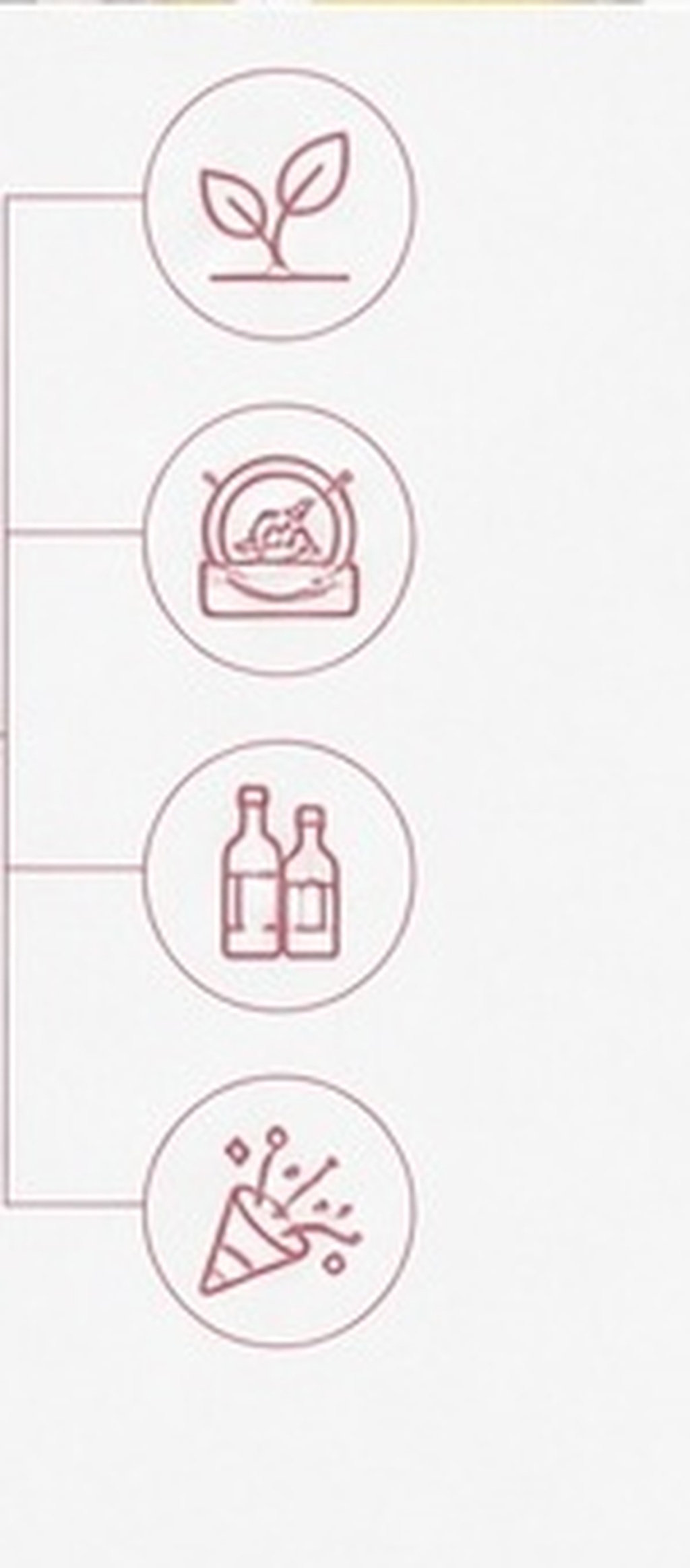 5 unidades de tampões de silic - Wine Beer Hat avaliação e preço